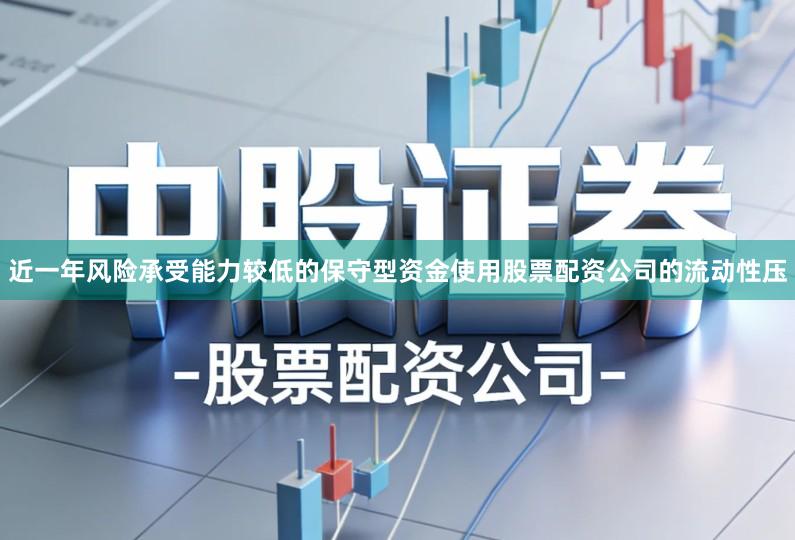 近一年风险承受能力较低的保守型资金使用股票配资公司的流动性压