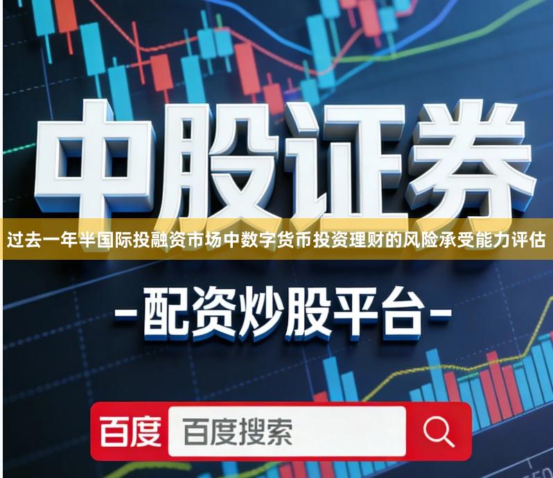 过去一年半国际投融资市场中数字货币投资理财的风险承受能力评估