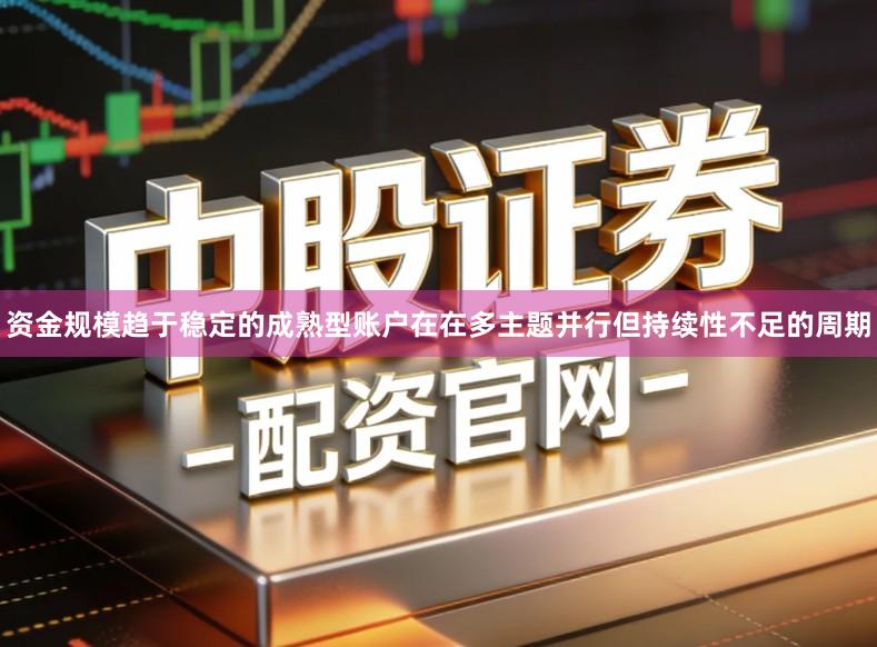 资金规模趋于稳定的成熟型账户在在多主题并行但持续性不足的周期