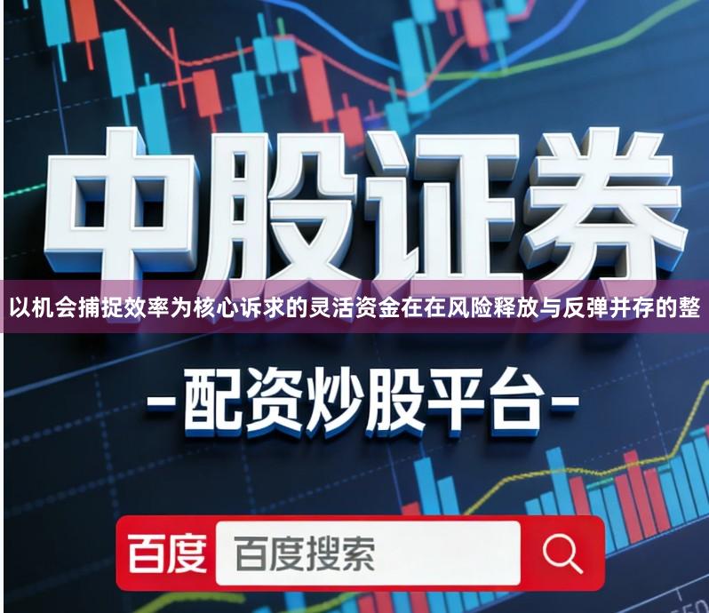 以机会捕捉效率为核心诉求的灵活资金在在风险释放与反弹并存的整